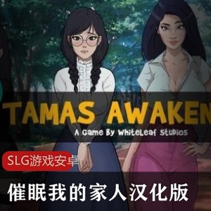 欧美风格手绘SLG游戏：助眠家人汉化版